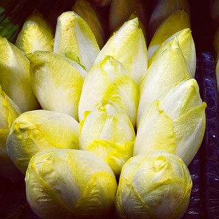 Endive du nord 500g