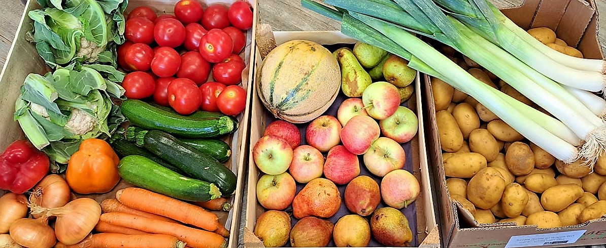Mon Panier surprise <br>Fruits et Légumes bio – Image 3