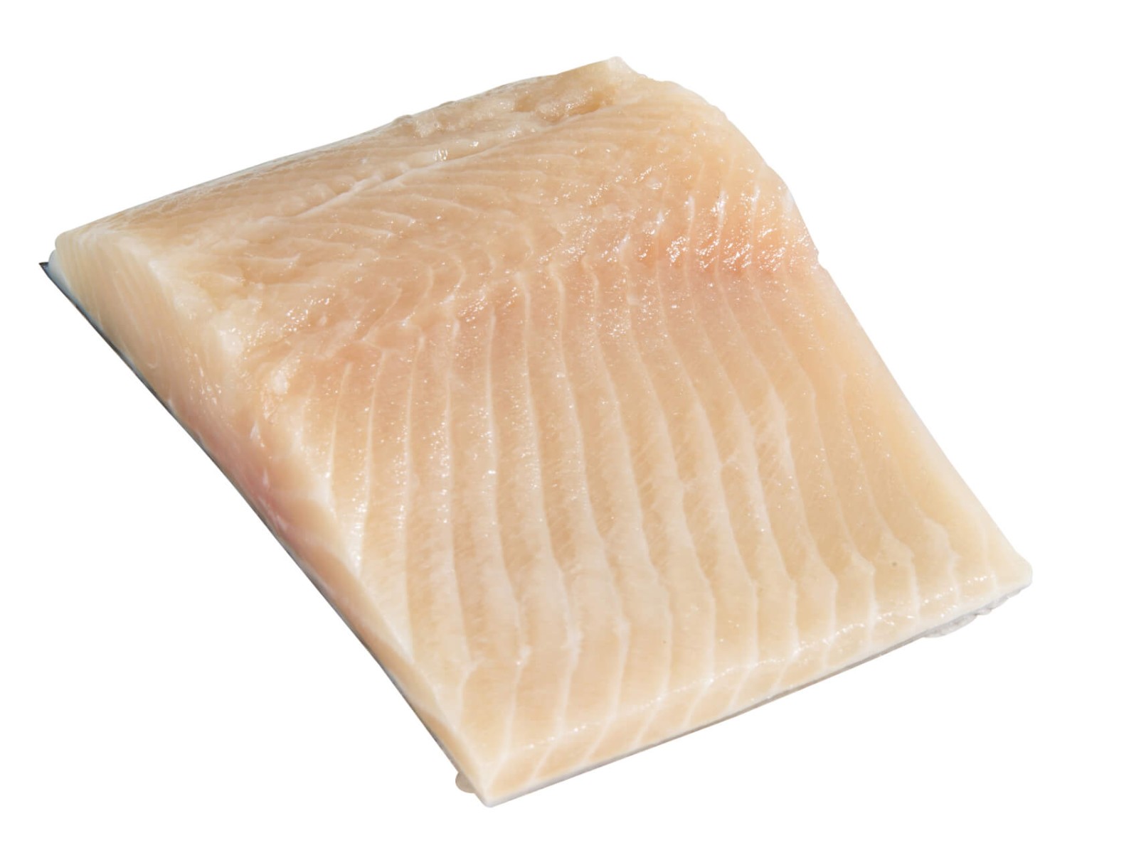 Pavé x1 Truite Bio Frais France