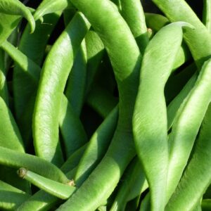 Haricot Vert Plat 500g
